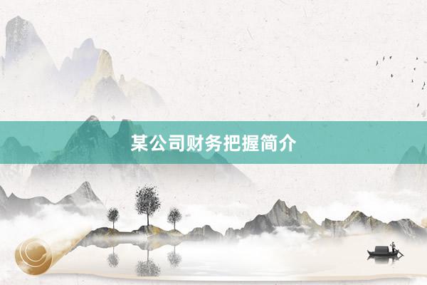 某公司财务把握简介