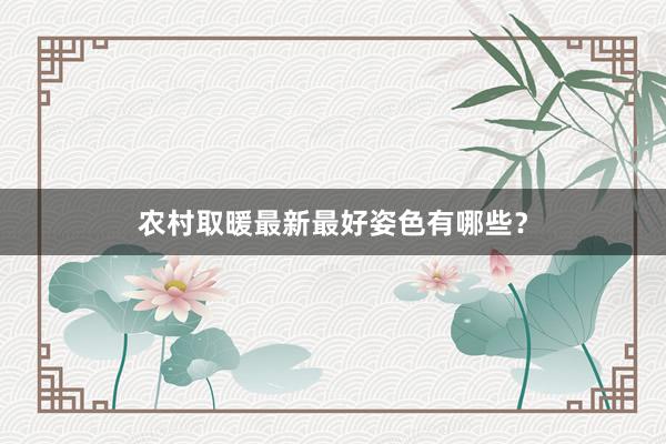 农村取暖最新最好姿色有哪些？