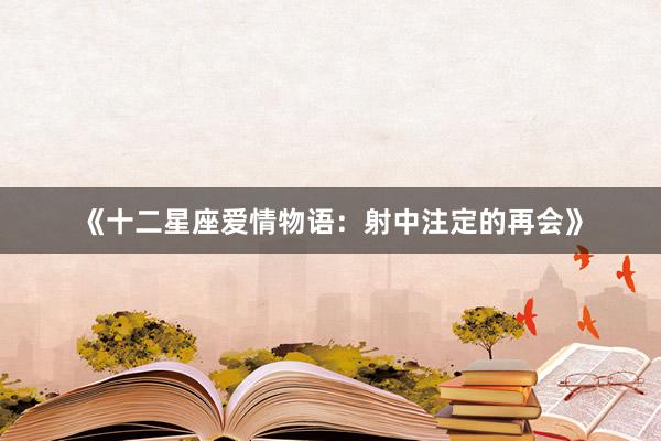 《十二星座爱情物语：射中注定的再会》