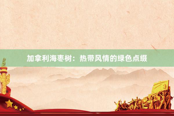 加拿利海枣树：热带风情的绿色点缀