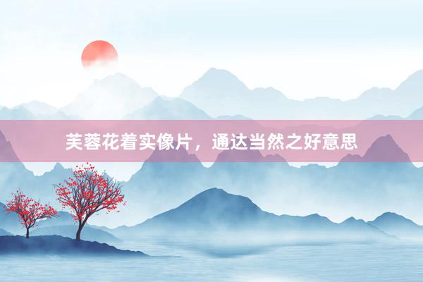芙蓉花着实像片，通达当然之好意思