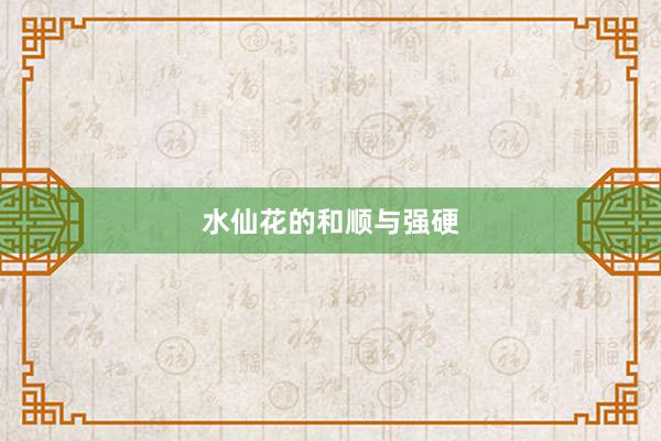 水仙花的和顺与强硬